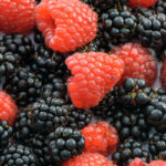 Jenis-Jenis Buah Berry dan Manfaat Bagi Sehetana Rasp Berry
