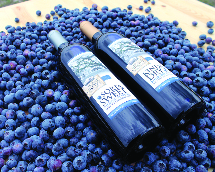 Olahan dari Buah Blueberry