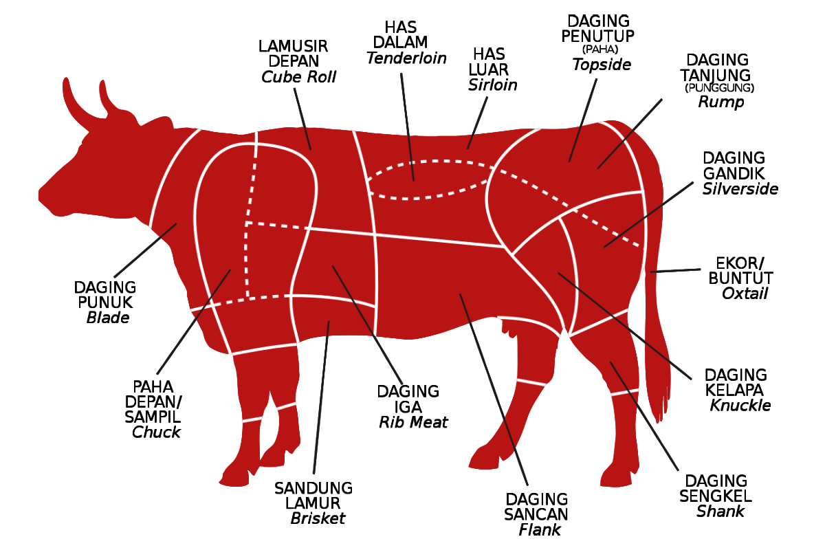 BagianBagian Daging Sapi Dalam Inggris dan Indonesia Dzargon