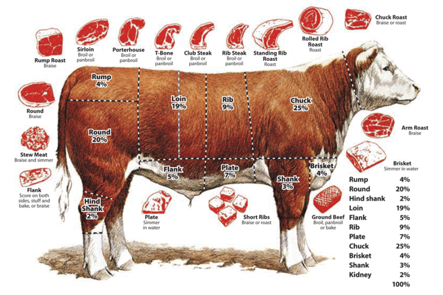 Bagian-Bagian Daging Sapi Dalam Inggris dan Indonesia