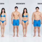Bentuk Tubuh Ectomorph, Mesomoprh dan Endomorph untuk Cosplay